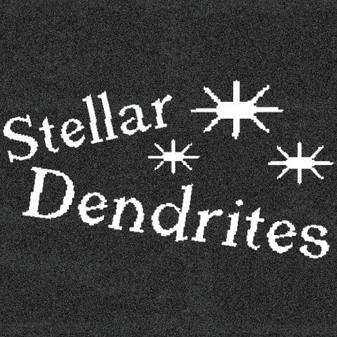 Stellar Dendrites Stellar Dendrites