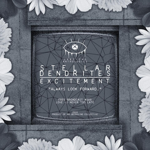 Stellar Dendrites - excitement