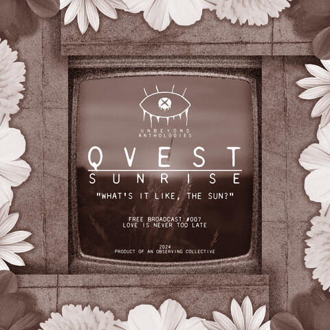 QVEST - sunrise