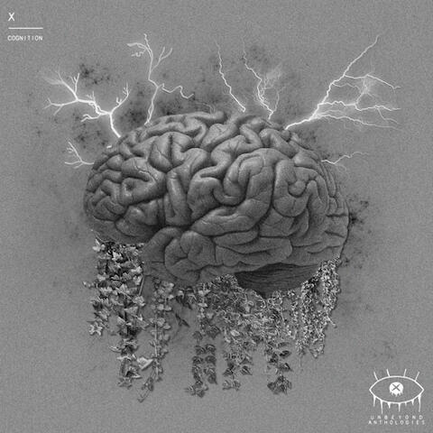 X - cognition