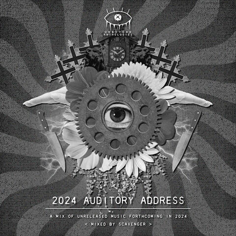 2024 Auditory Address