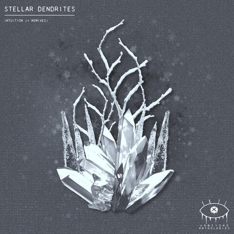 Stellar Dendrites - intuition (+ Remixes)