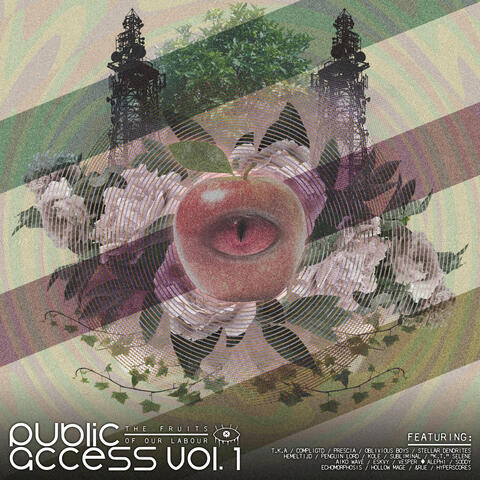 Public Access Vol. 1